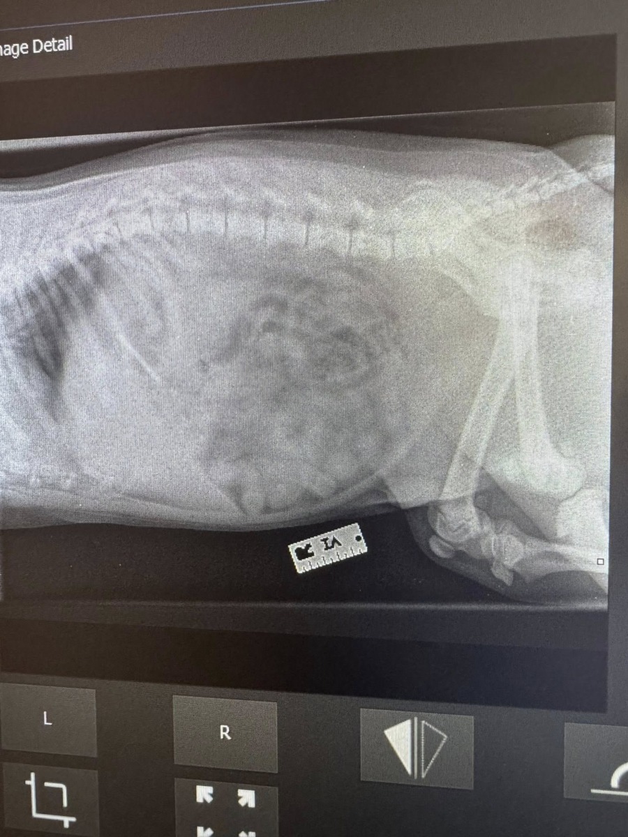 605864812_1461624695838174_3875677367652841159_n