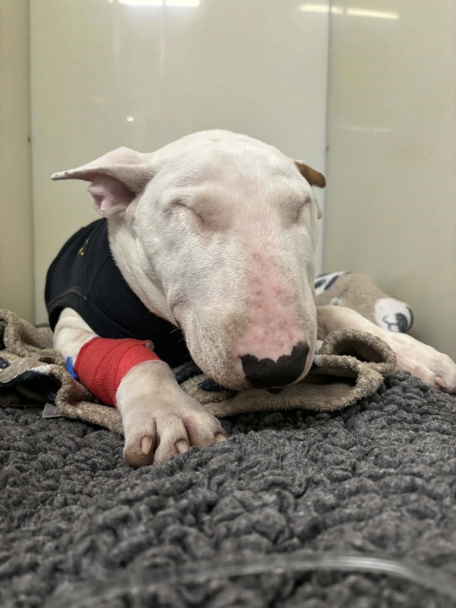 607579323_1461624689171508_4822428471475045103_n