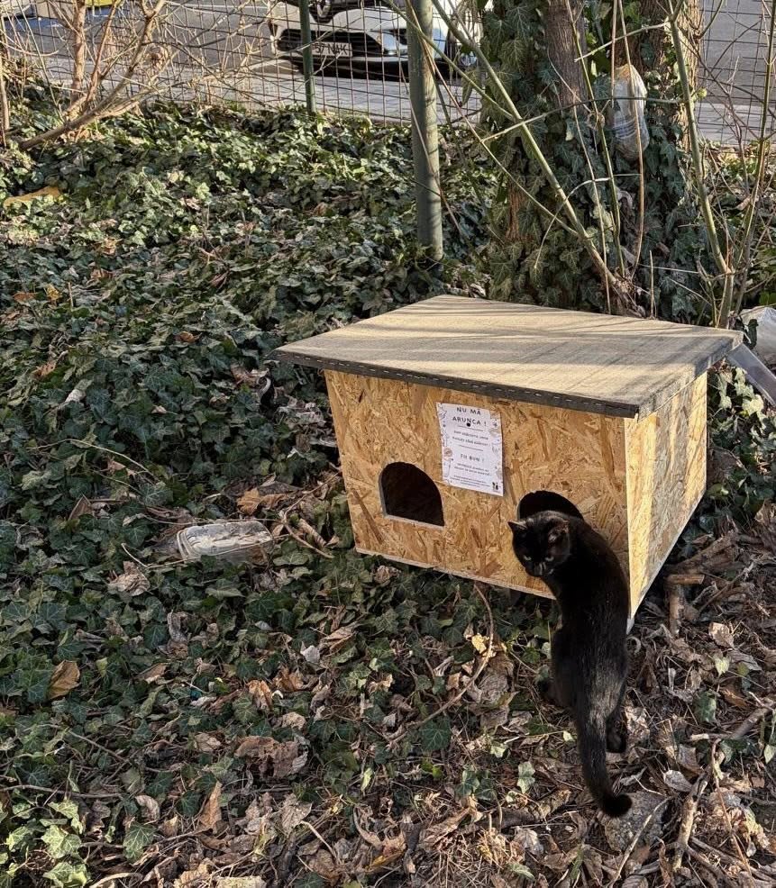 609160405_893551216374838_7403416290198253639_n