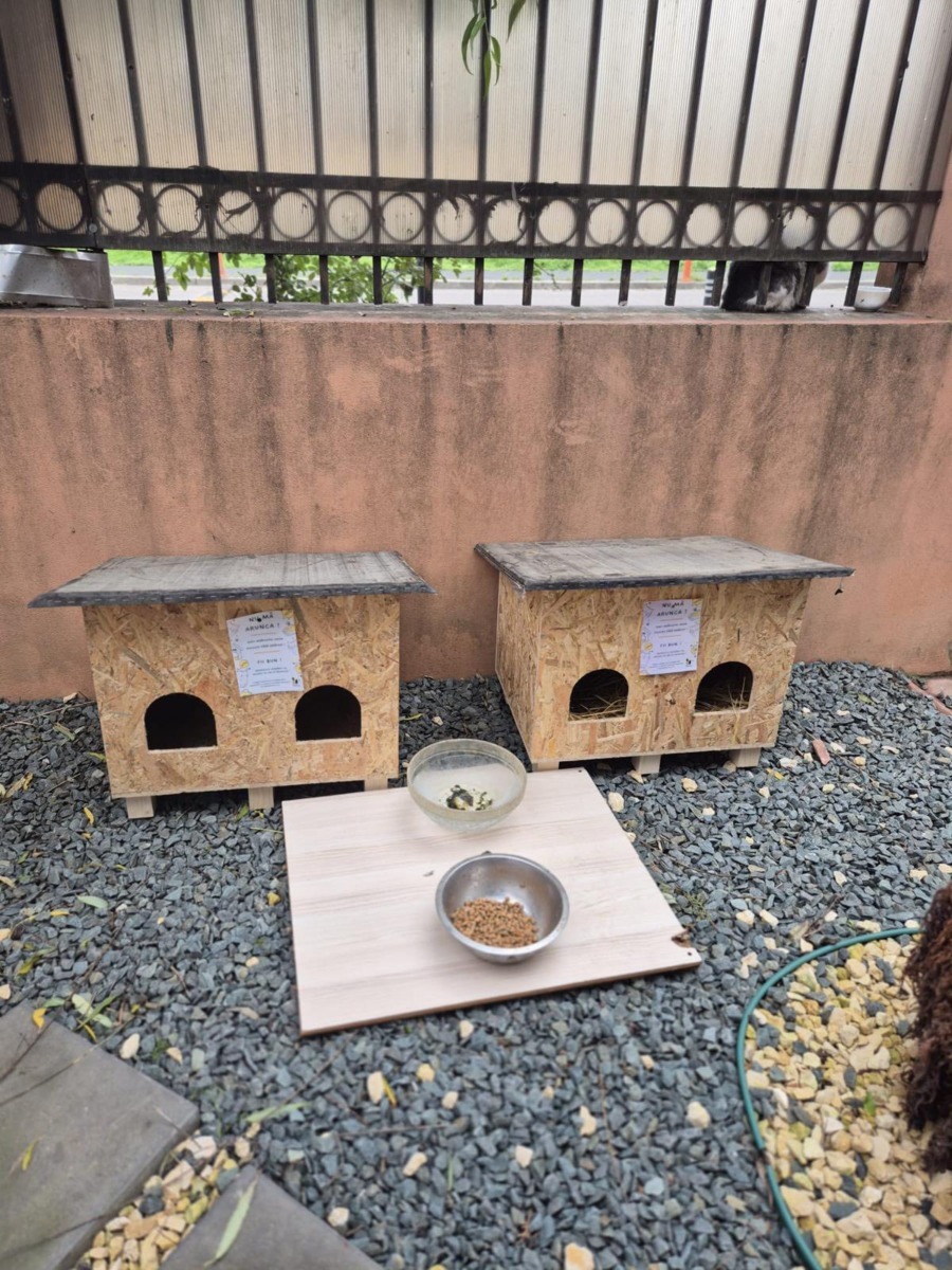 610930148_893551229708170_3564918456567979743_n