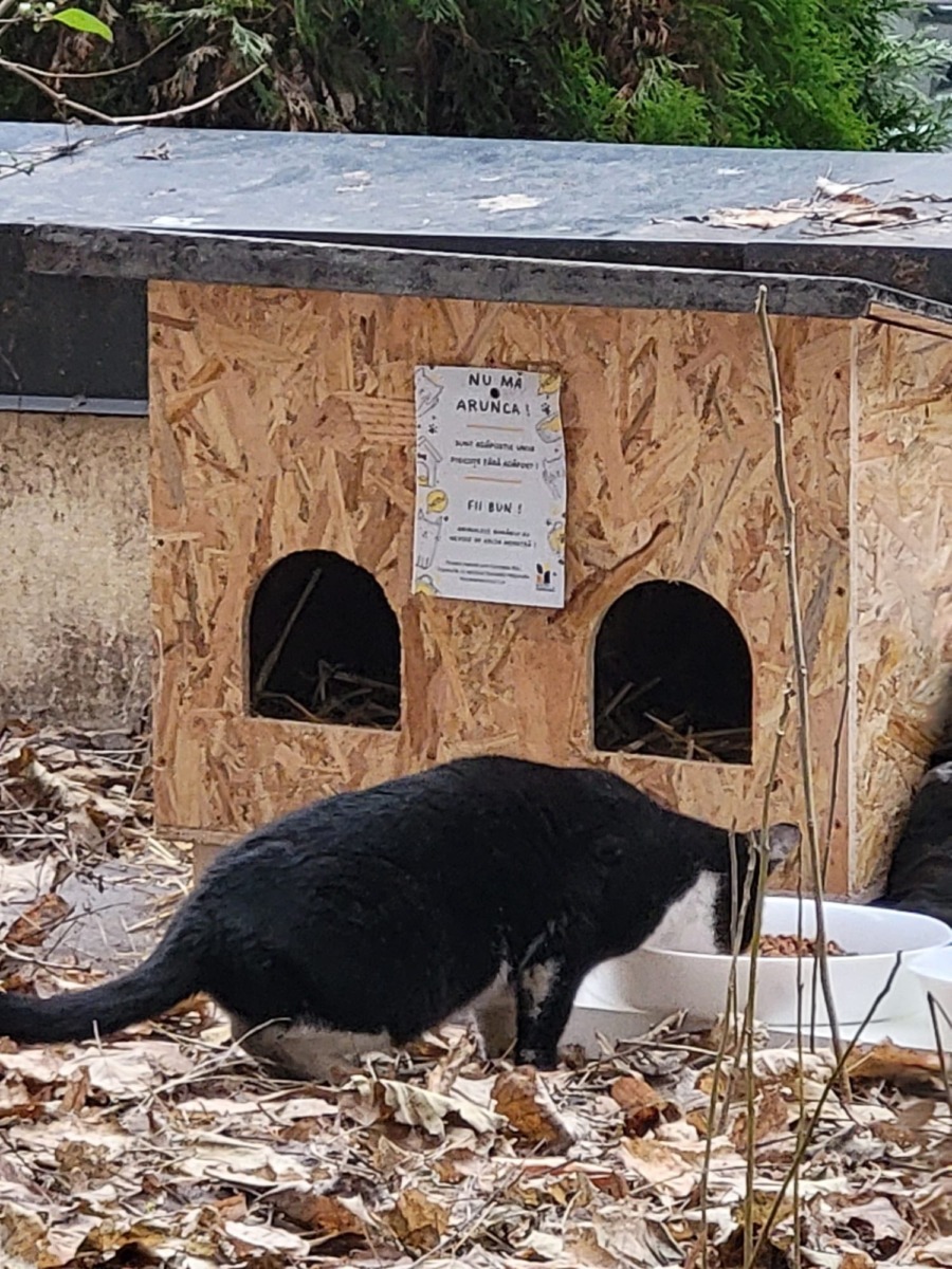 610967007_893551266374833_1669817399443755127_n