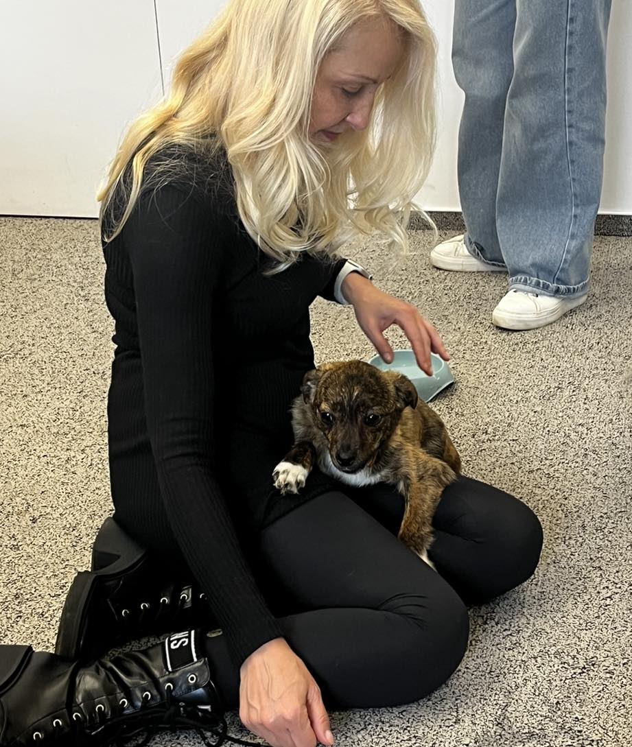 614359852_1222968396654962_7147142393932499054_n