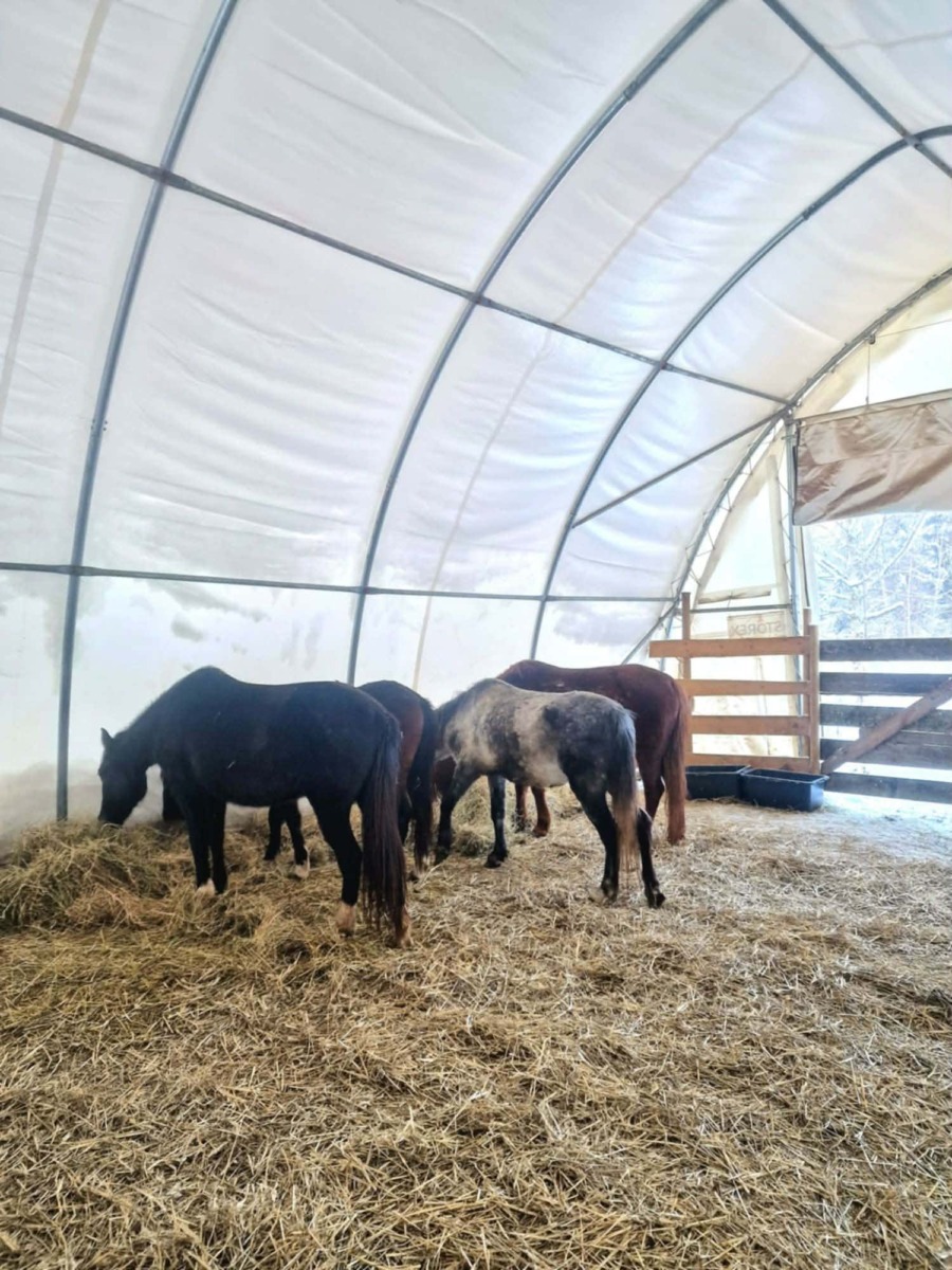 614892148_897820189281274_6818255551722112543_n