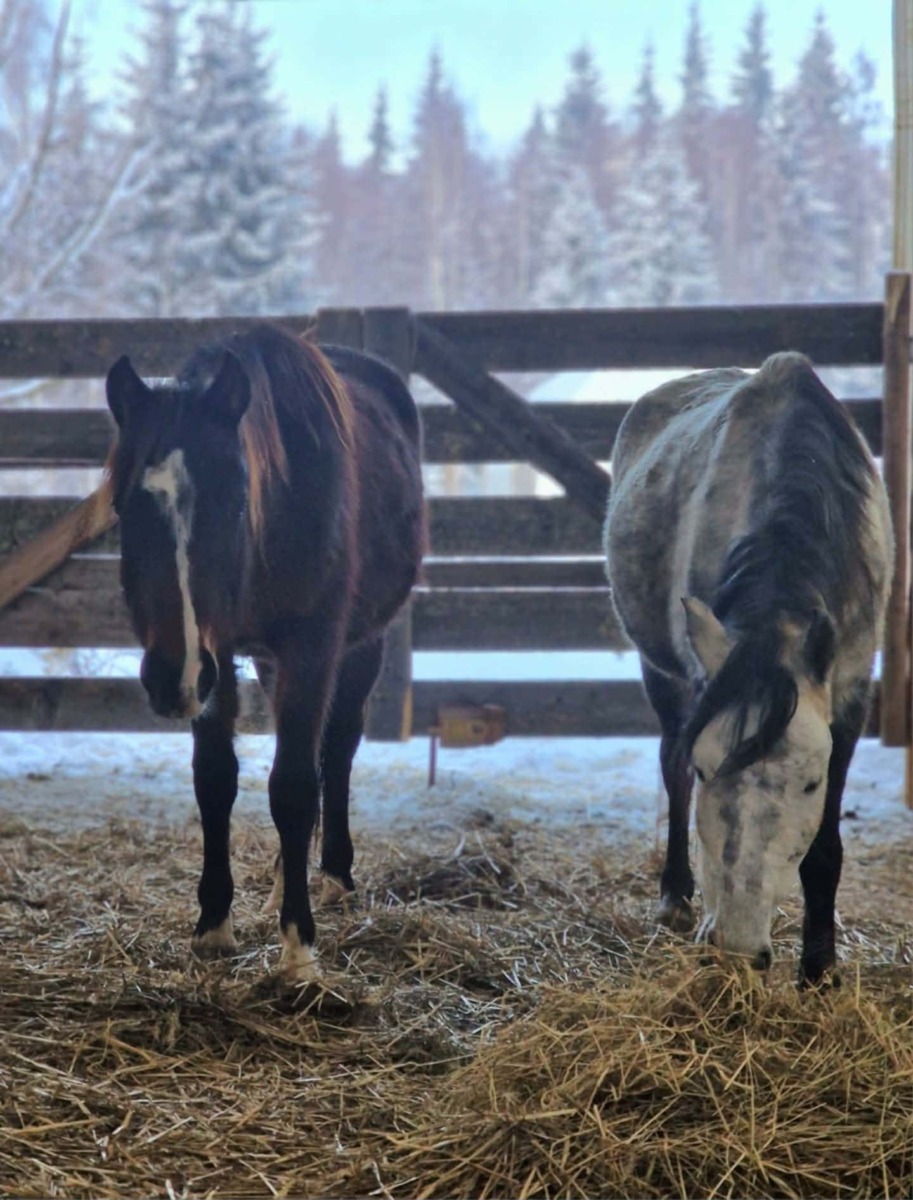 615024158_897820209281272_5682190146277087045_n