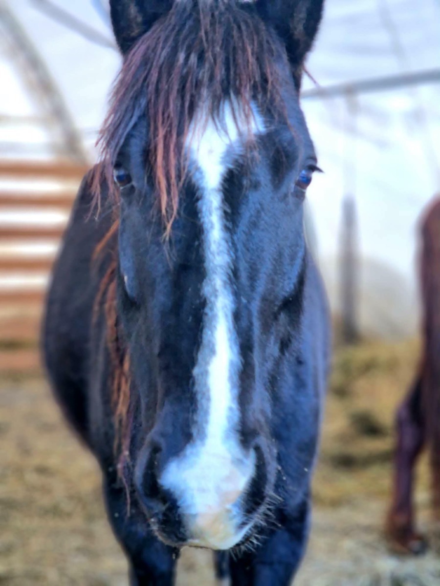 615151242_897820182614608_6965206493982024427_n