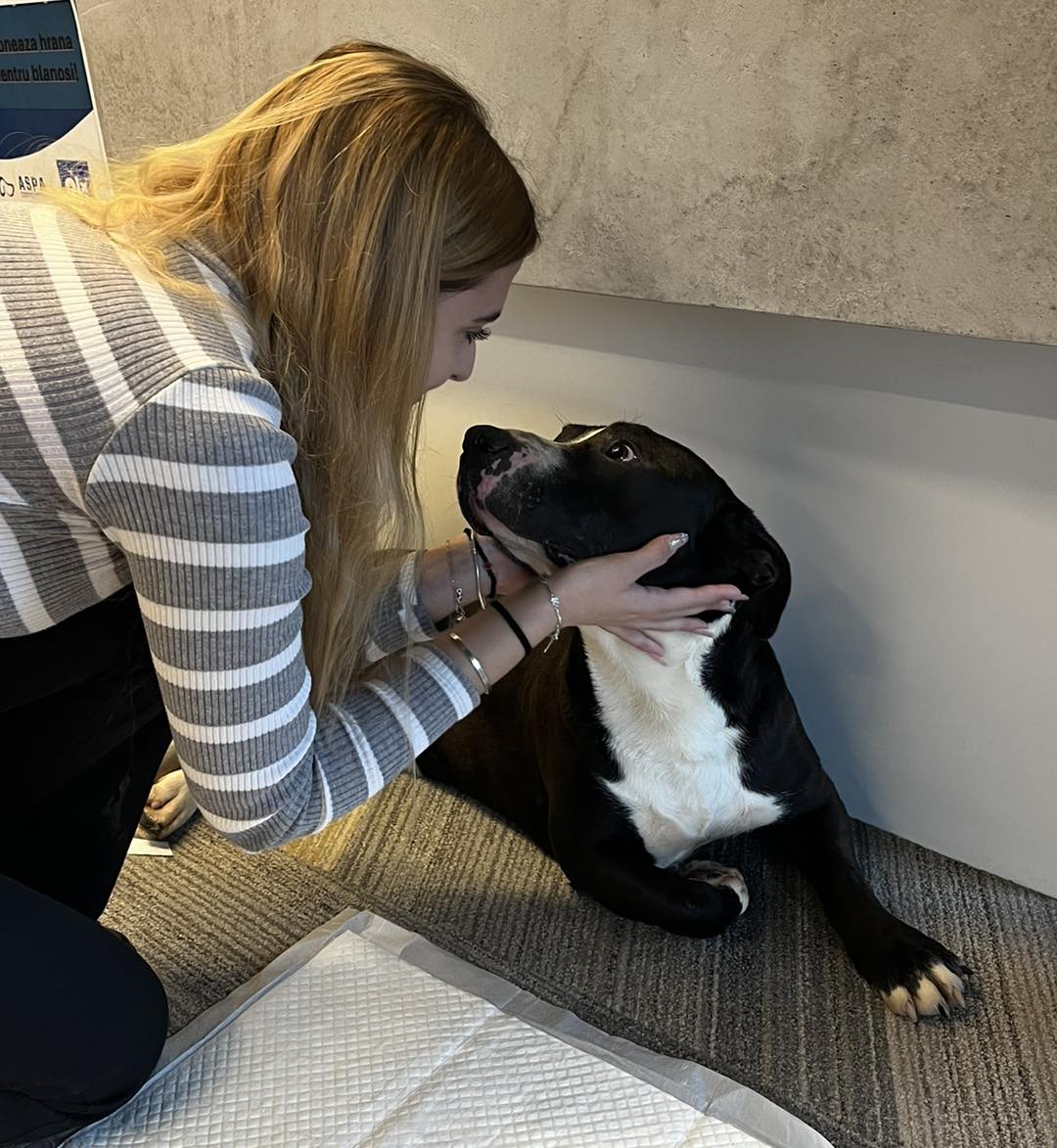 615154457_1222968723321596_4721751796931410187_n