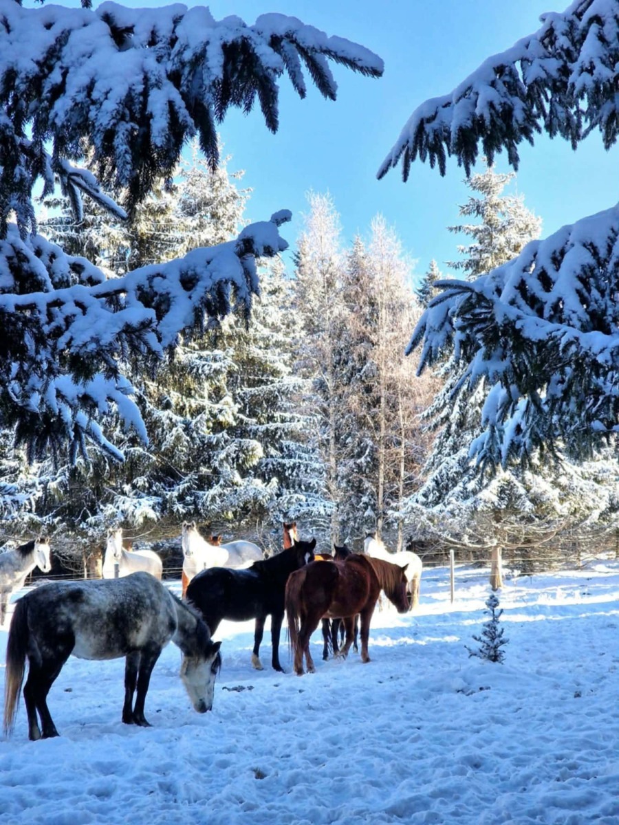 615174098_897820162614610_122372335759330813_n