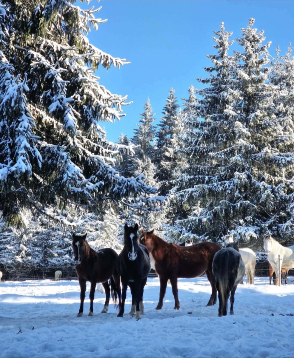 615328780_897816125948347_7974636765126377627_n