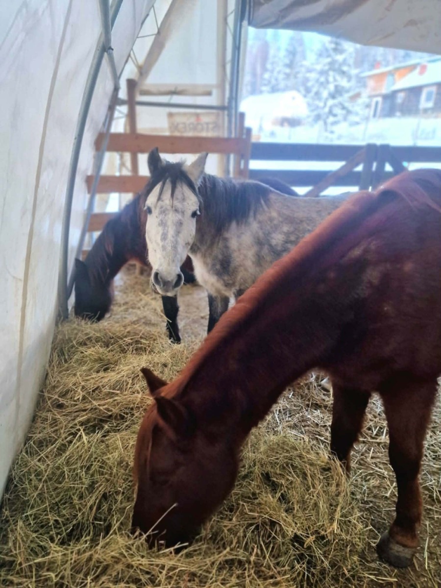 615338306_897820219281271_5968901920989730854_n