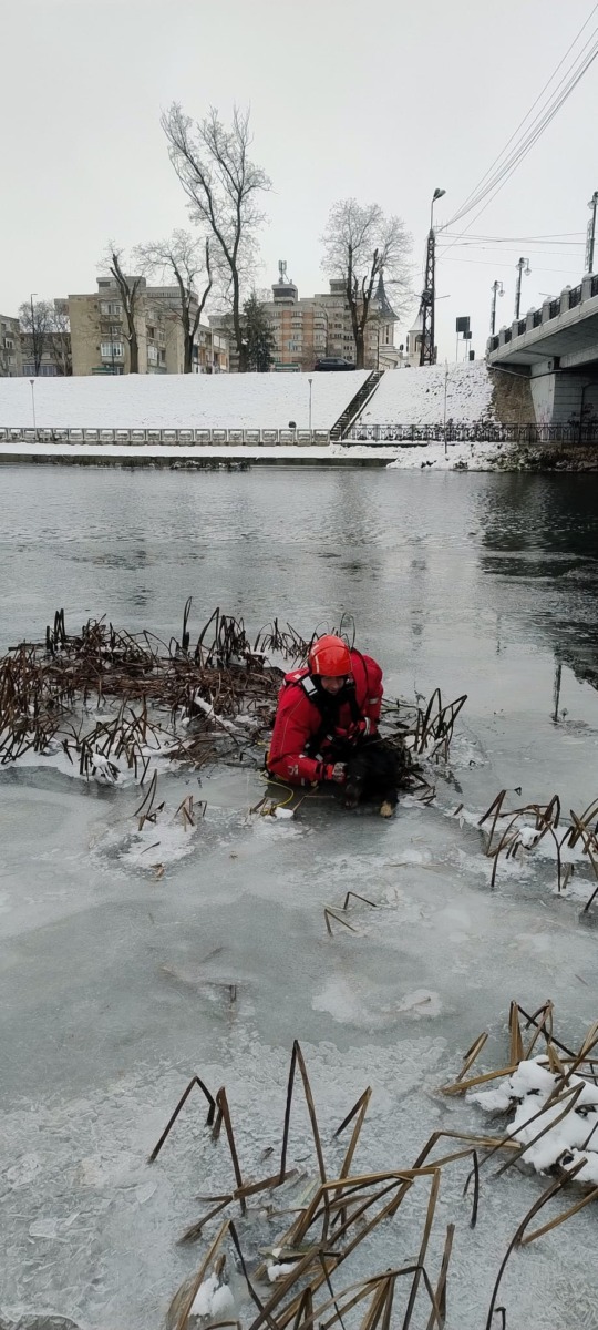 615443618_122152415888735594_1741626797031148722_n