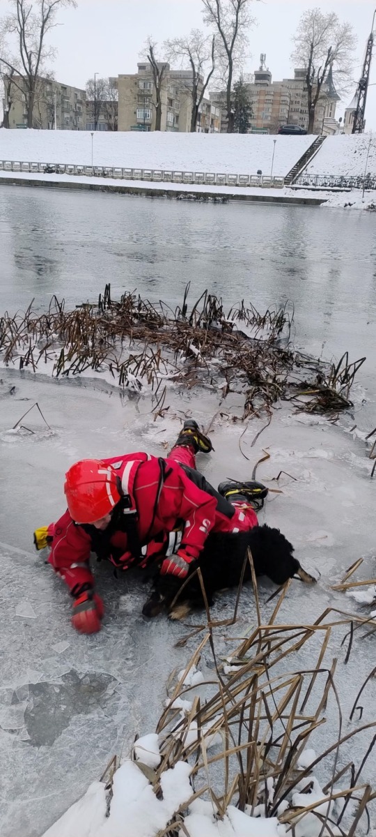 615779519_122152415942735594_7654986713699806519_n