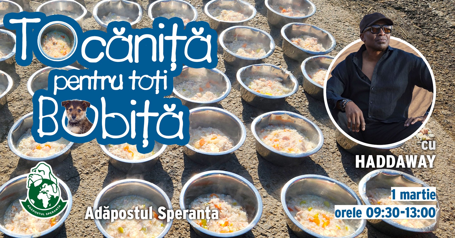 afiș Haddaway la evenimentul Tocăniță pentru toți Bobiță