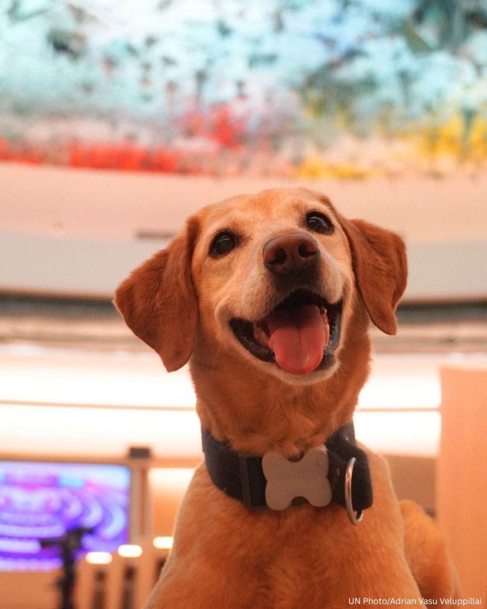 616439272_1315020007320688_533273669439571114_n