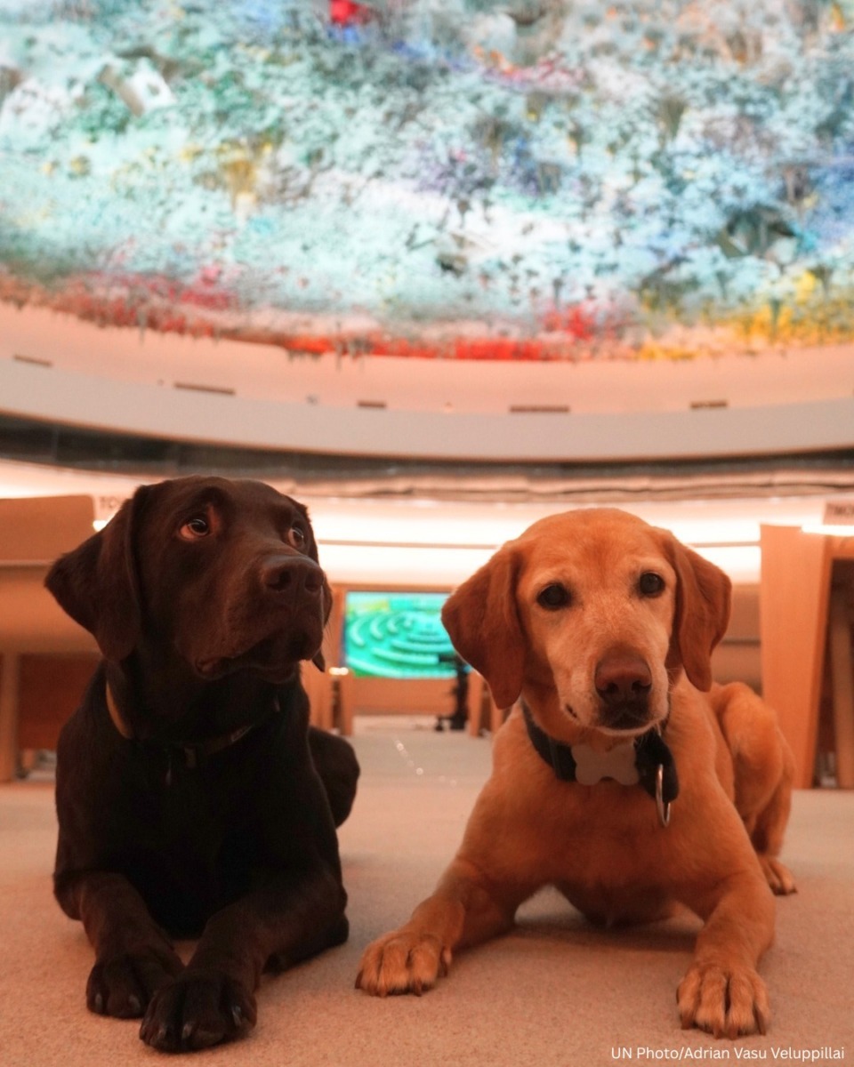 617527906_1315020003987355_5177088450084836518_n