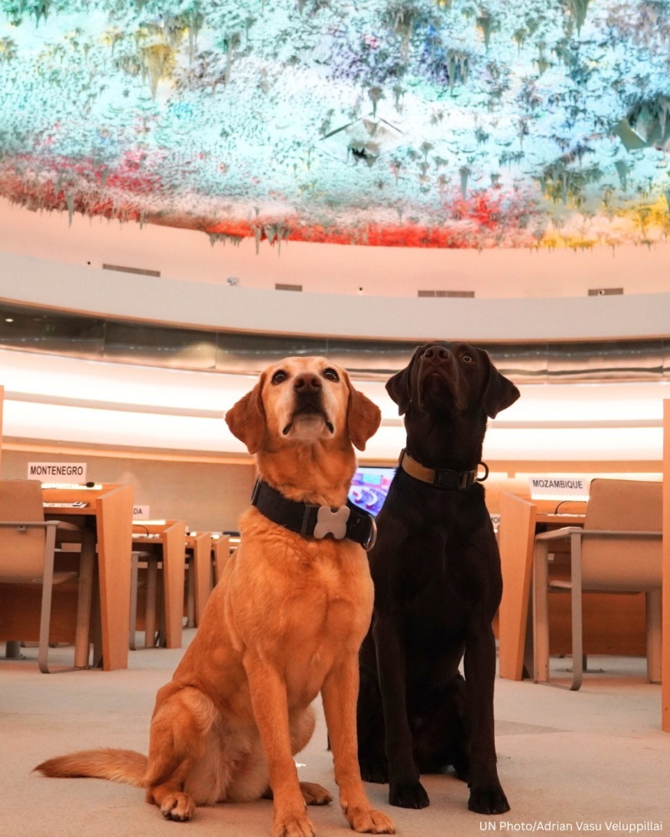 618157727_1315020010654021_5155329242438910351_n