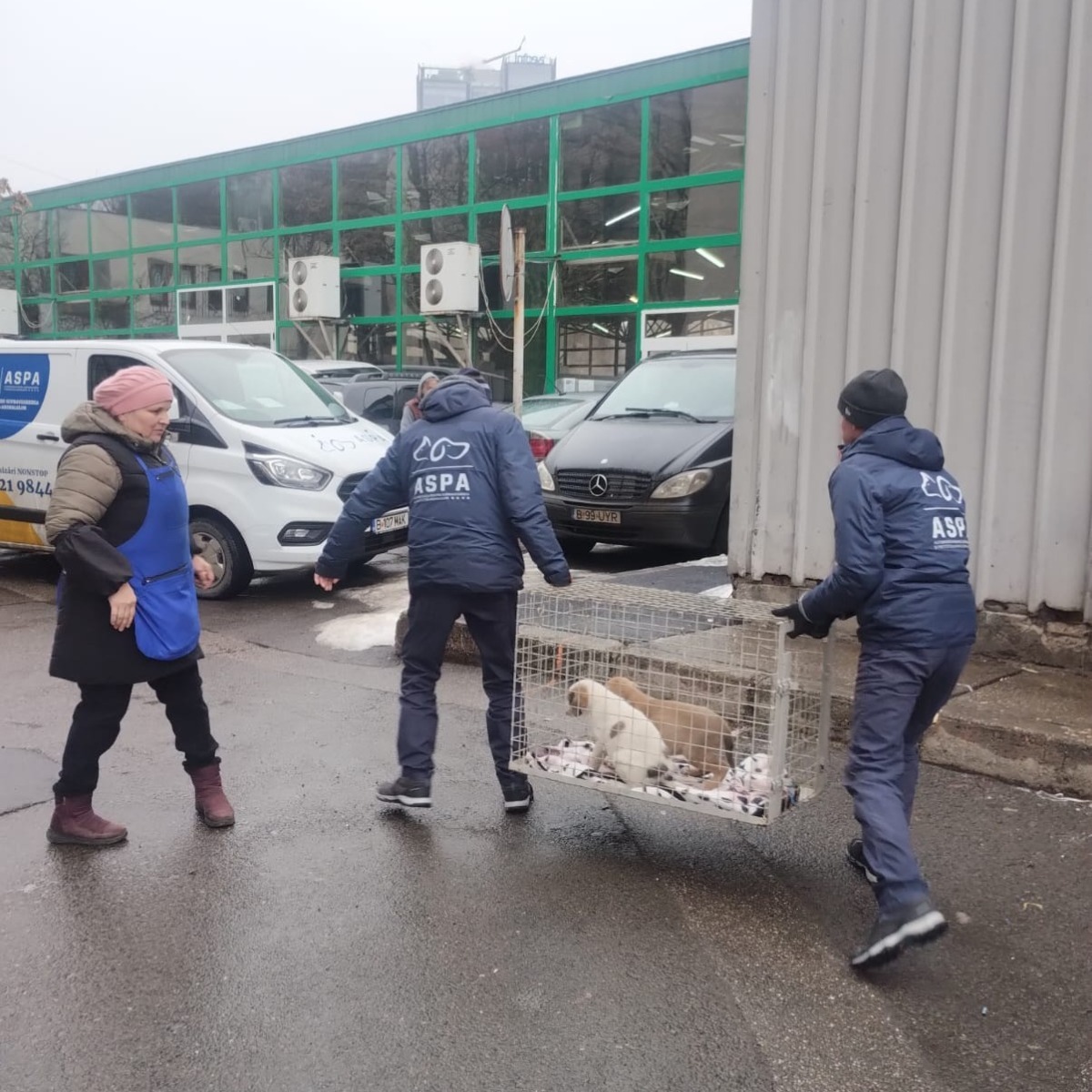 619411643_1234477915504010_6134808619169183384_n