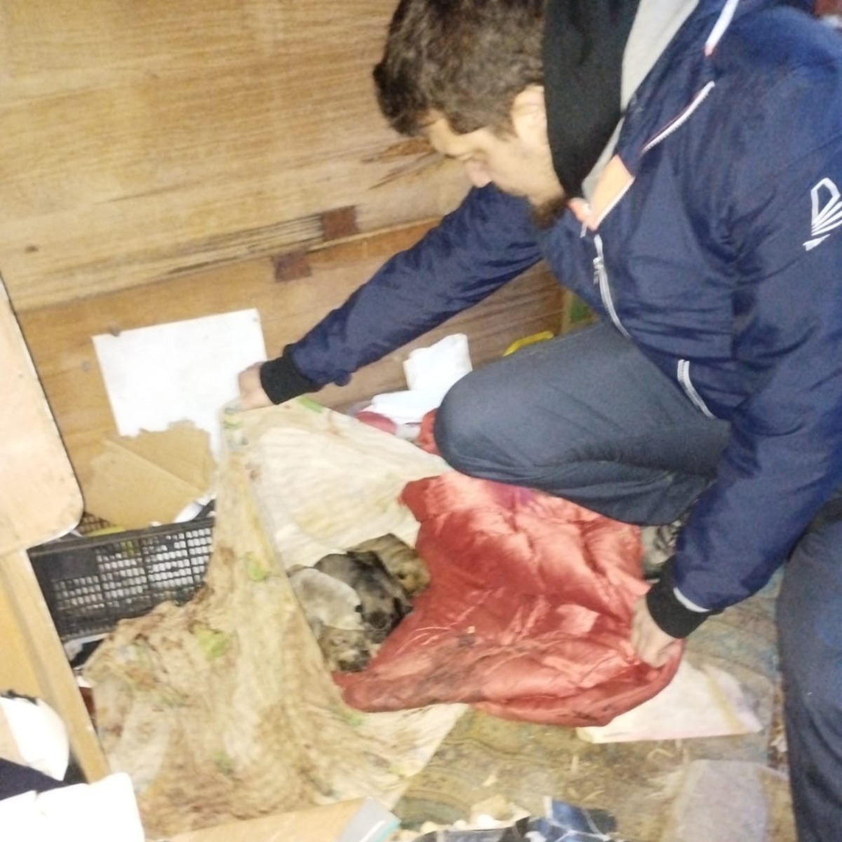 622030854_1234474185504383_1562164136169196978_n