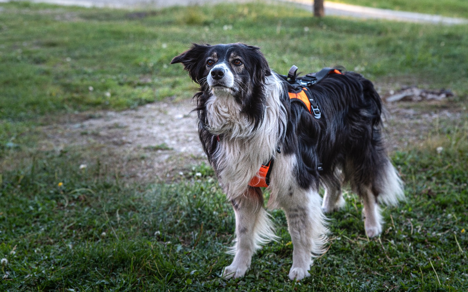 697df212-c6e8-402d-a383-3b8e2090529f