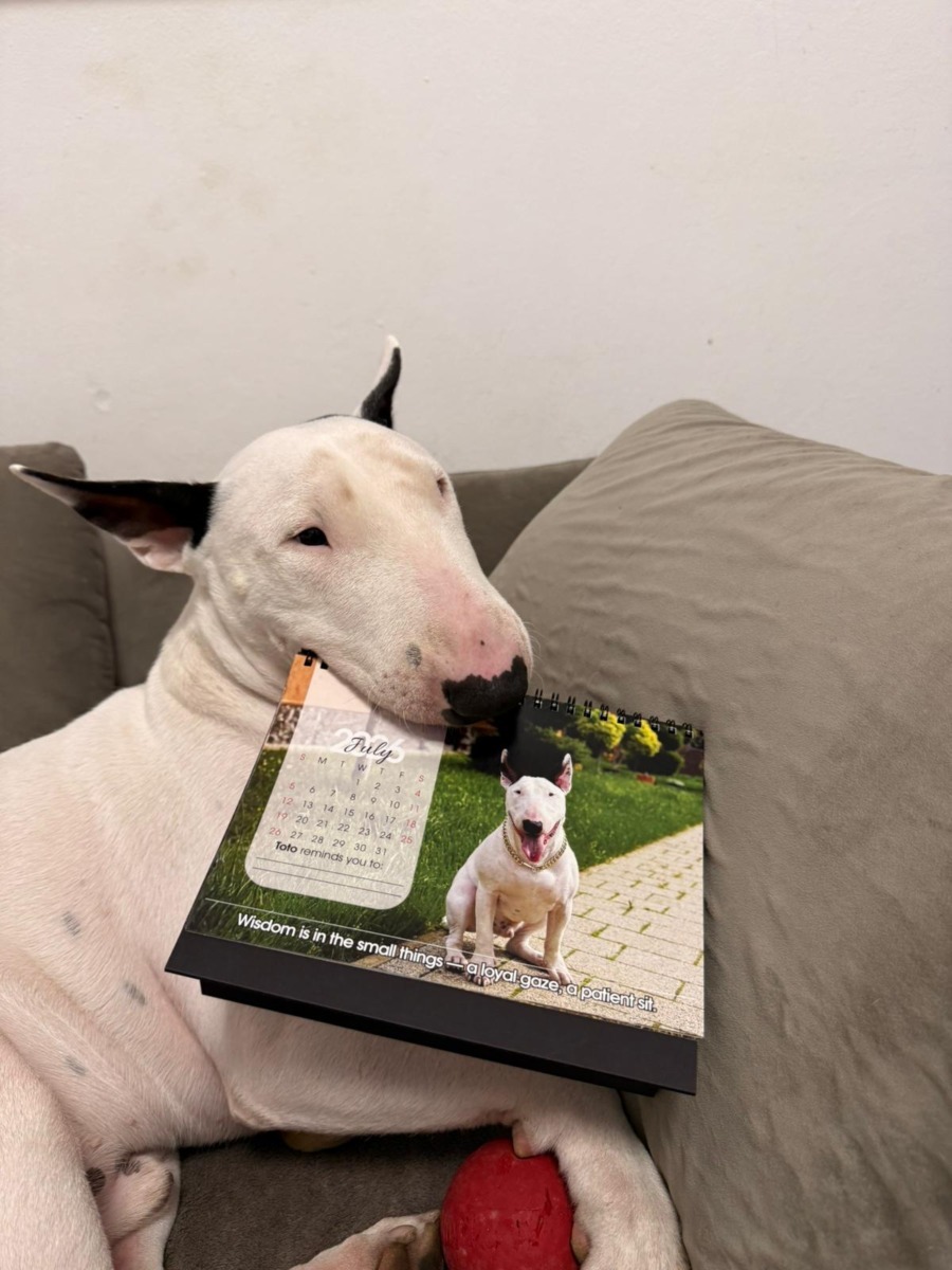 80197d05-4cbf-47e2-93e8-04b0241174e1