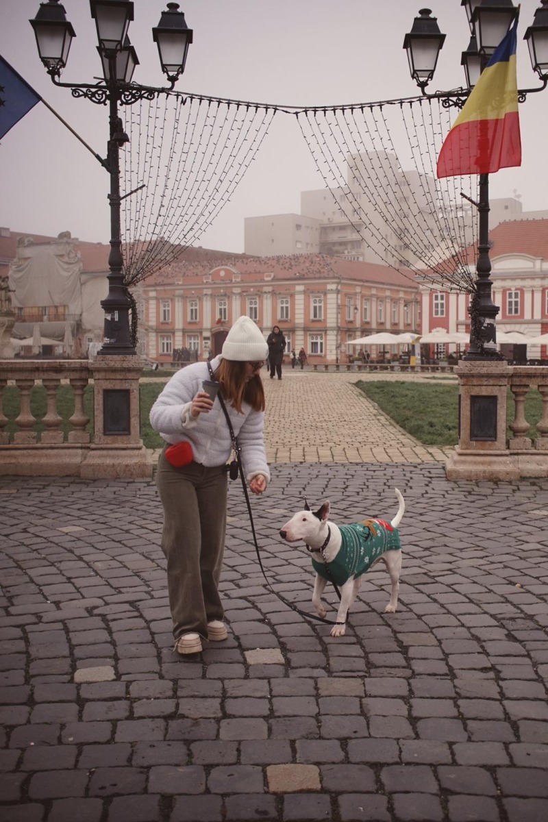 9135c17a-79a2-4db5-91e2-753604115637