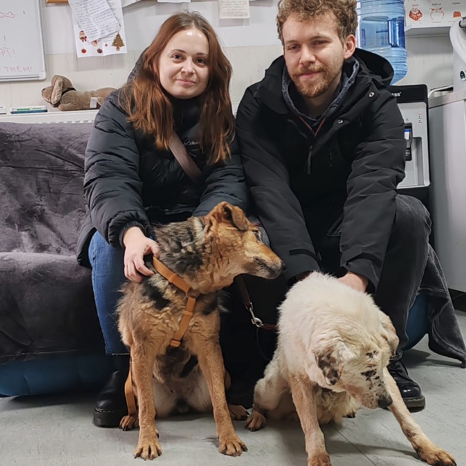 Adapostul Speranta - adoptii Zuzi Flori