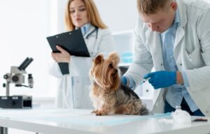 oameni și un caine in laborator