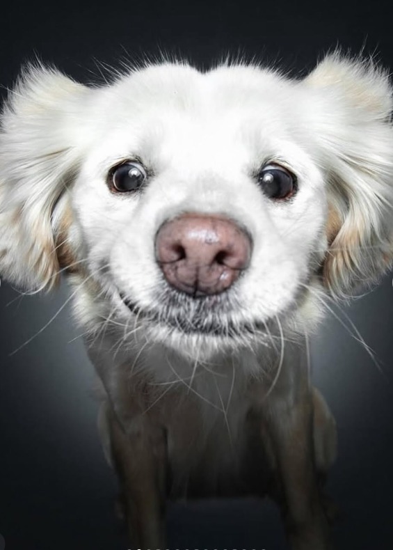 Screenshot 2026-01-07 113538