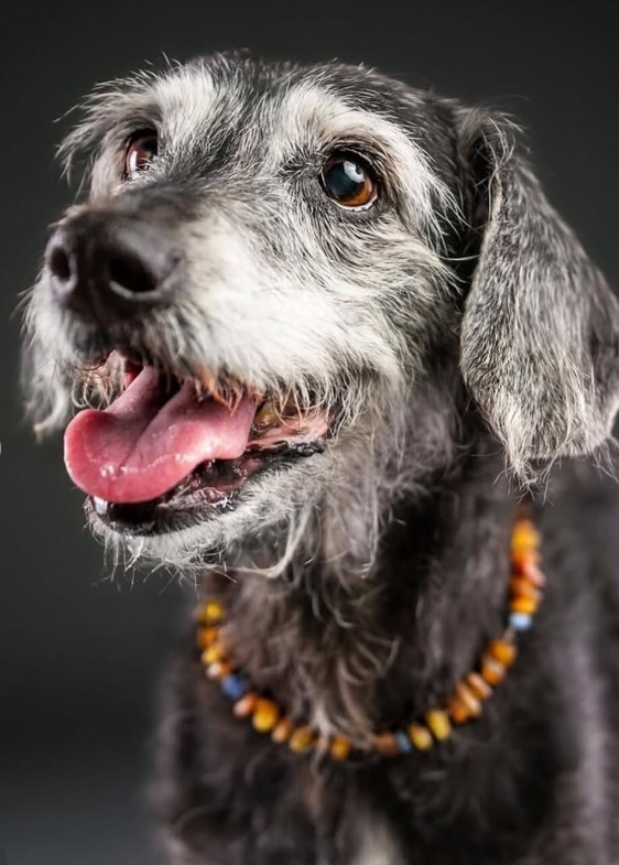 Screenshot 2026-01-07 113554