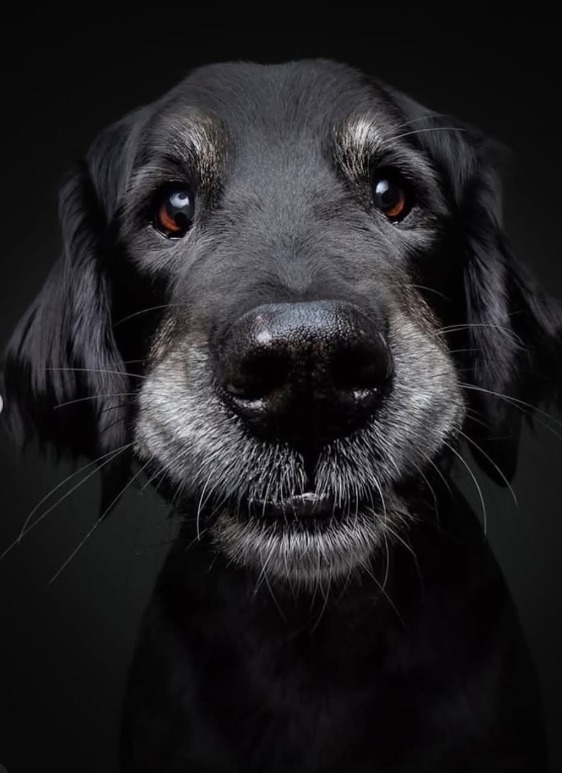 Screenshot 2026-01-07 113604