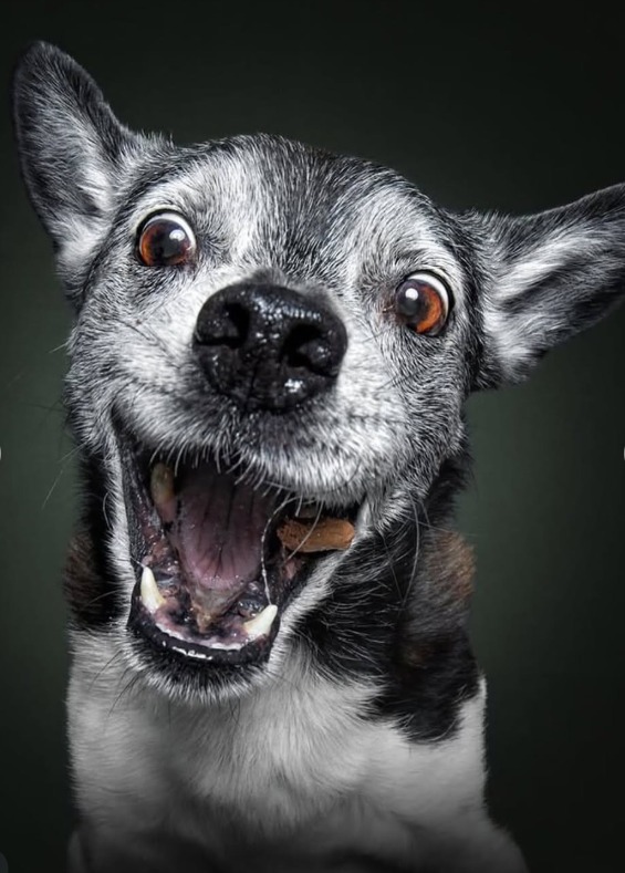 Screenshot 2026-01-07 113612