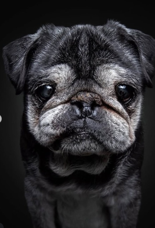 Screenshot 2026-01-07 113619