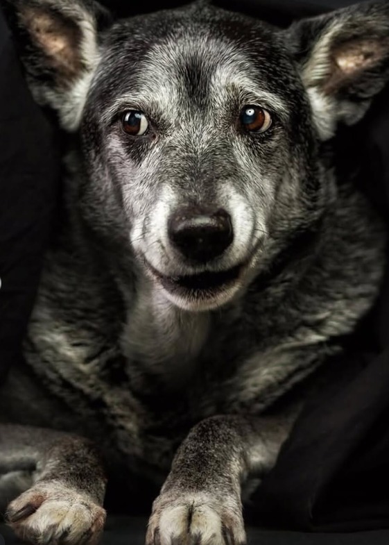 Screenshot 2026-01-07 113716