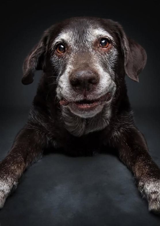 Screenshot 2026-01-07 113726