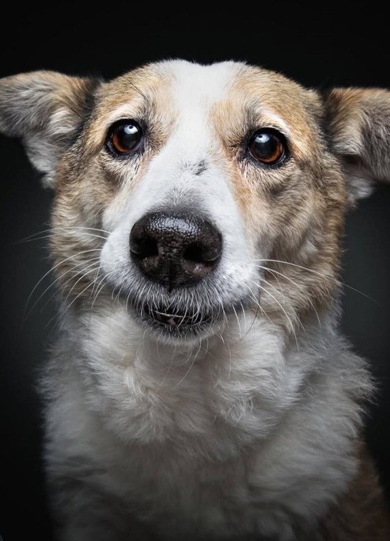 Screenshot 2026-01-07 113736