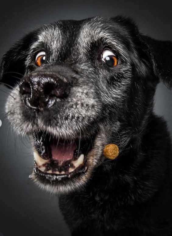 Screenshot 2026-01-07 113747