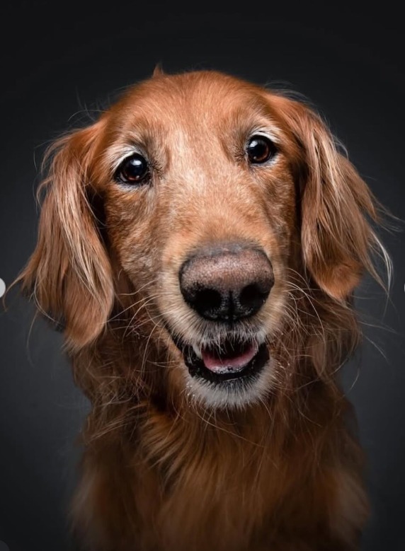 Screenshot 2026-01-07 113757