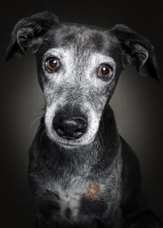 Screenshot 2026-01-07 113809