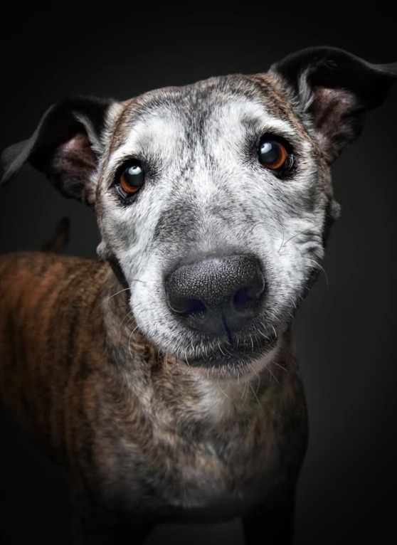 Screenshot 2026-01-07 113817