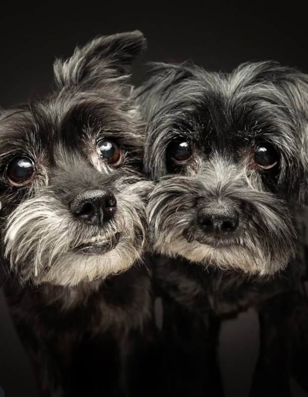 Screenshot 2026-01-07 113838