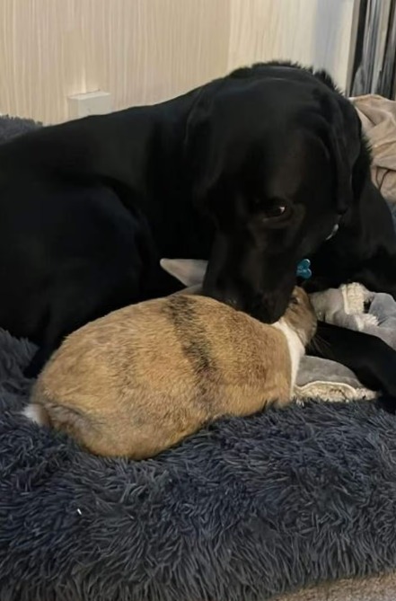 Screenshot 2026-01-16 122618