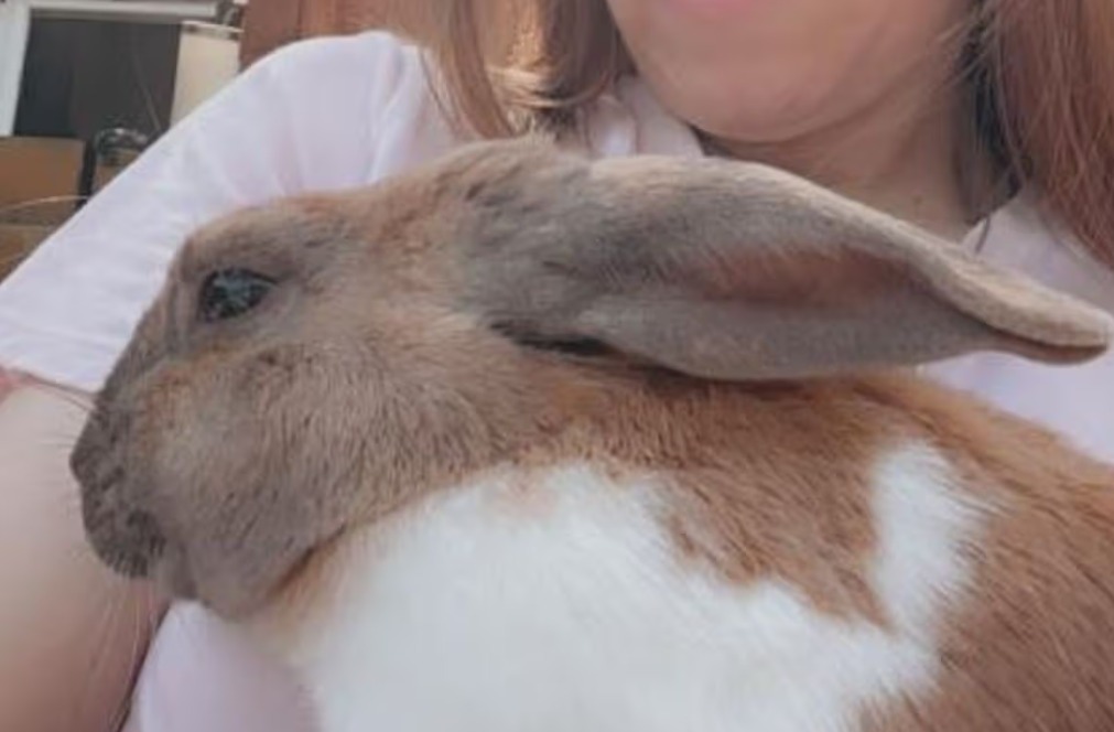 Screenshot 2026-01-16 122635