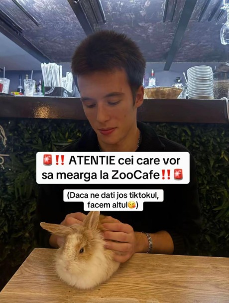 Screenshot 2026-01-20 134808