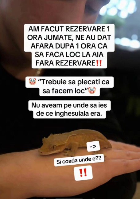 Screenshot 2026-01-20 134826