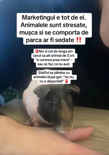 Screenshot 2026-01-20 134839