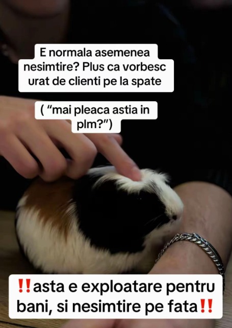 Screenshot 2026-01-20 134858