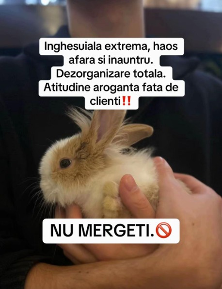 Screenshot 2026-01-20 134903