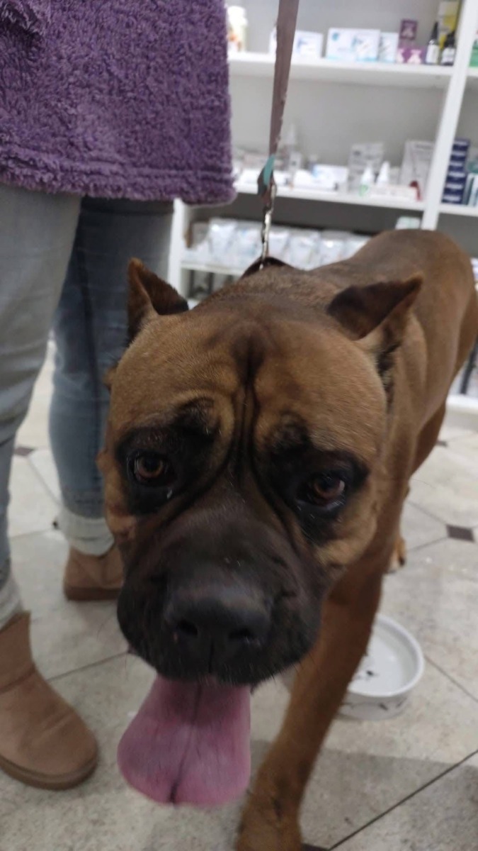 WhatsApp Image 2026-01-01 at 14.14.38 (1)