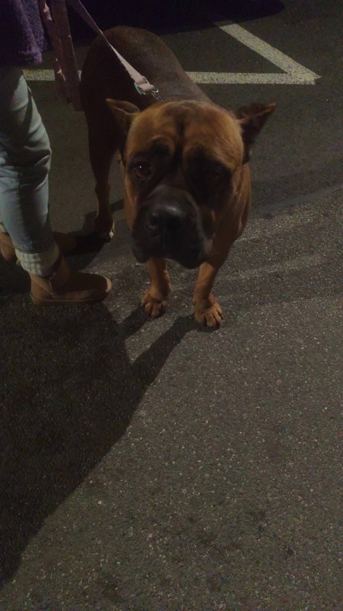 WhatsApp Image 2026-01-01 at 14.14.38