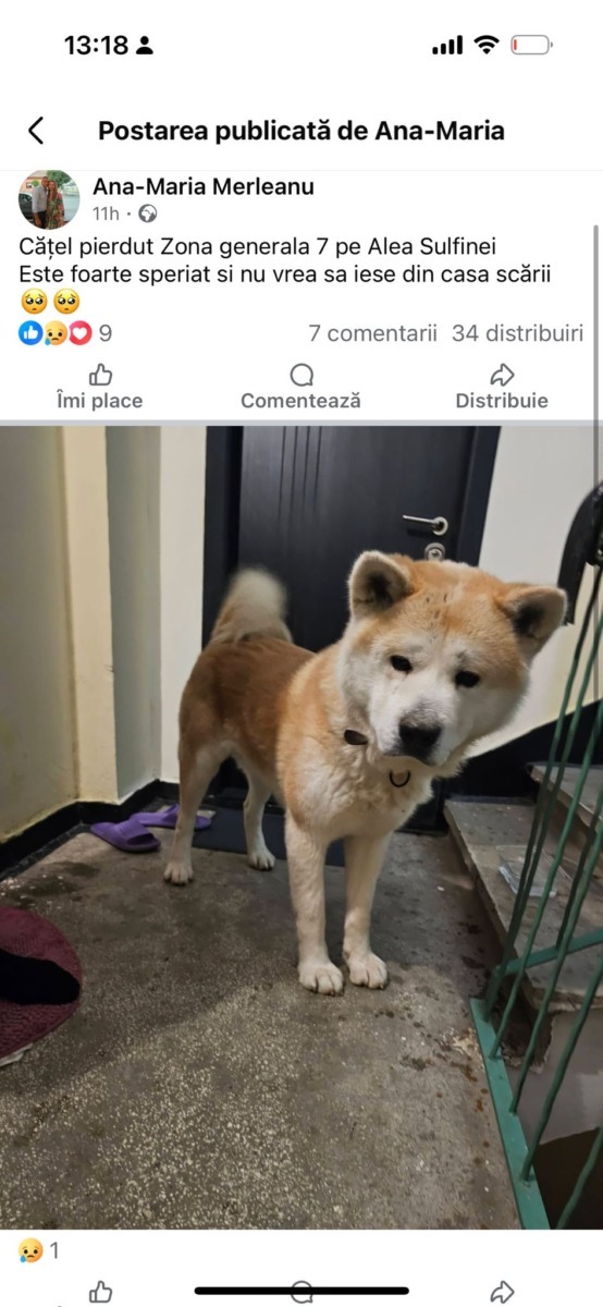 WhatsApp Image 2026-01-01 at 14.15.09