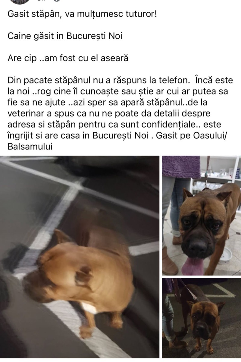 WhatsApp Image 2026-01-01 at 14.15.30